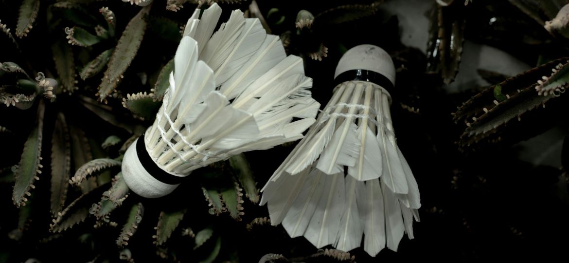 Two white badminton feather shuttlecocks resting on some plants in a dark and moody colour grading.